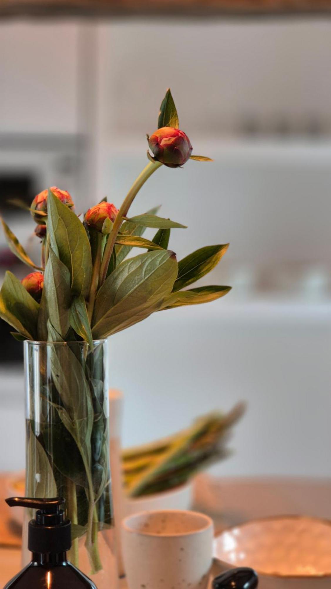 L'Arbre Voyageur Apartment Autun ภายนอก รูปภาพ