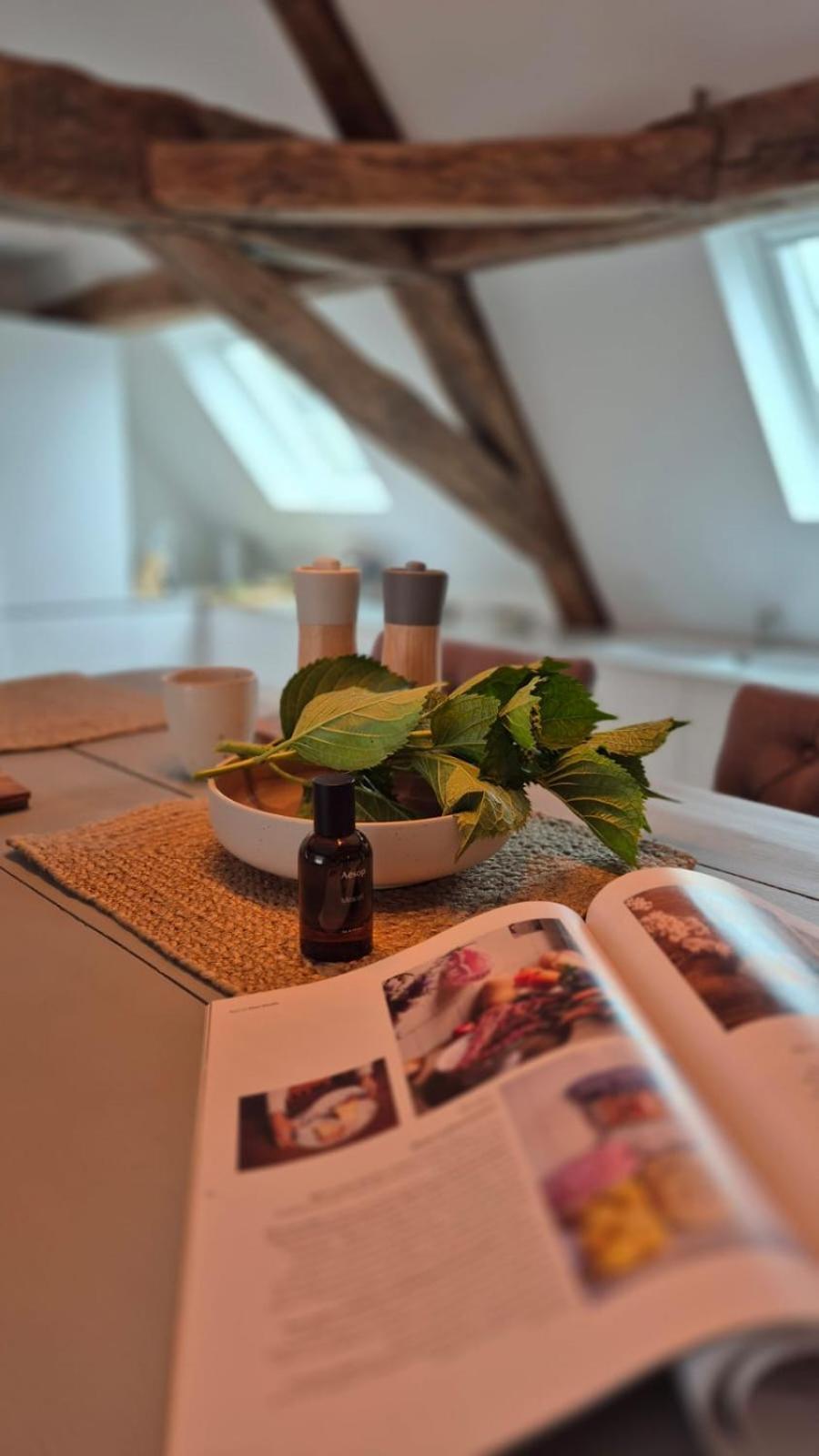 L'Arbre Voyageur Apartment Autun ภายนอก รูปภาพ